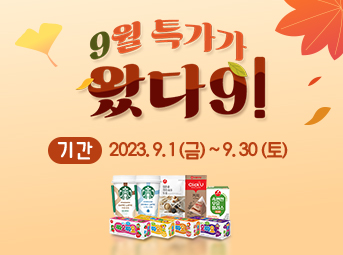 9월 특가데이