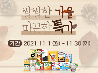 11월 특가데이 이벤트
