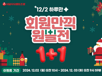 12월 원쁠전
