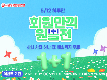 5월 원쁠전