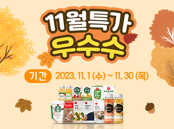 11월 특가데이
