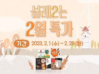 2월 특가데이