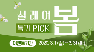 3월 특가데이 이벤트