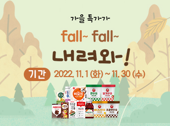 11월 특가데이