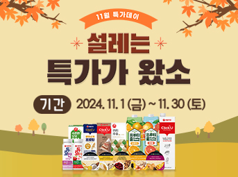 11월 특가데이